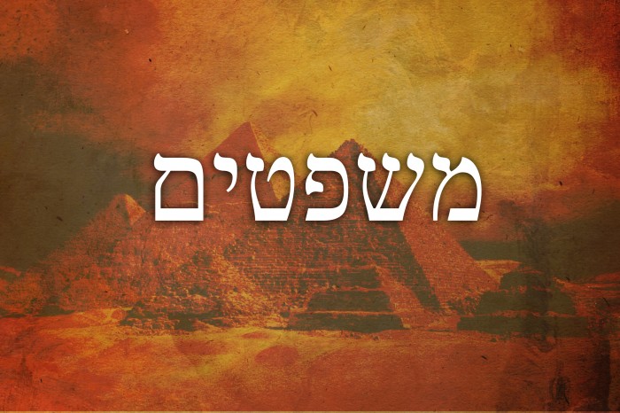 עלון פרשת משפטים – שקלים