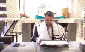 La Matza y la libertad